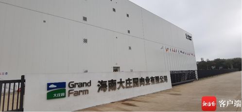 抓項(xiàng)目促投資 全球最大進(jìn)口牛羊肉質(zhì)蛋白精深加工基地投產(chǎn) 洋浦未來(lái)有望打造超500億國(guó)際食品加工產(chǎn)業(yè)集群