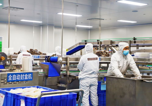 提質(zhì)擴(kuò)能 廣元利州推動(dòng)食品飲料產(chǎn)業(yè)闊步發(fā)展