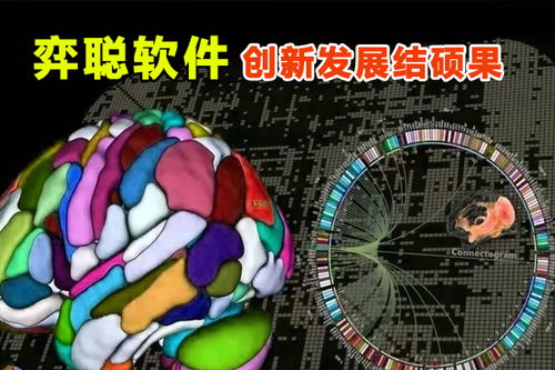 弈聰軟件科研創(chuàng)新結(jié)碩果,50多項(xiàng)專利授權(quán)技術(shù)催生發(fā)展動能